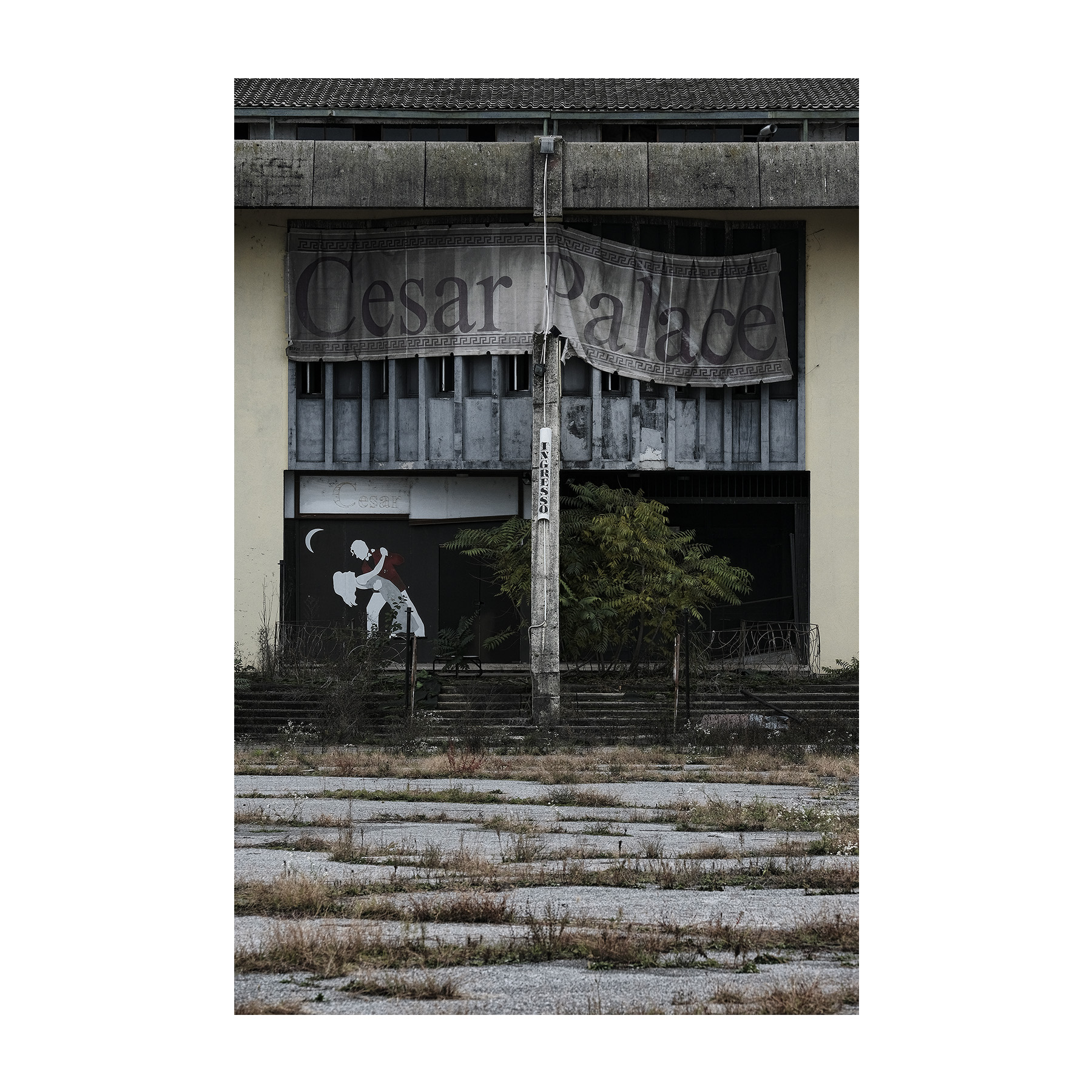 Welcome to Cesar Palace