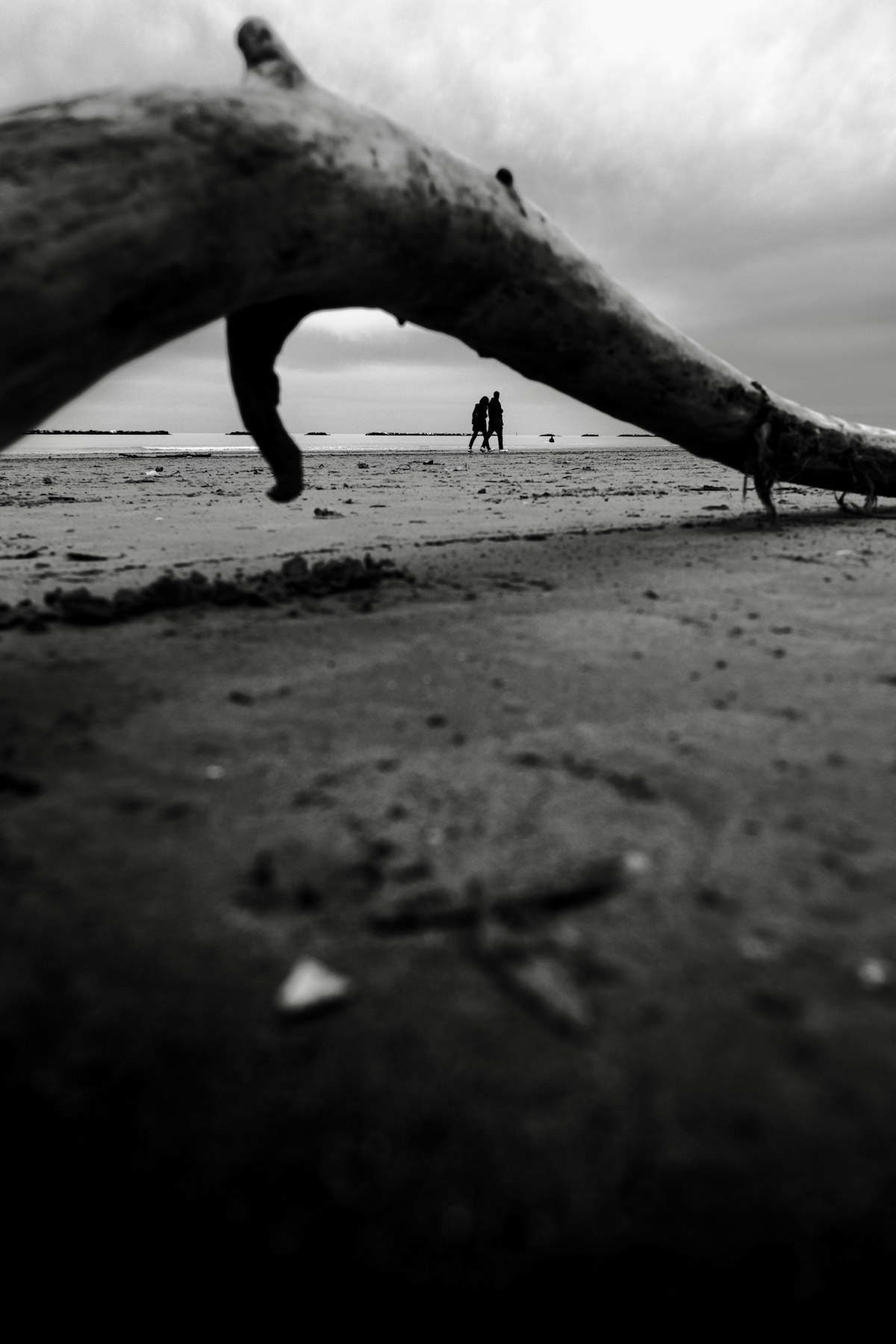 Cesenatico e l�autunno