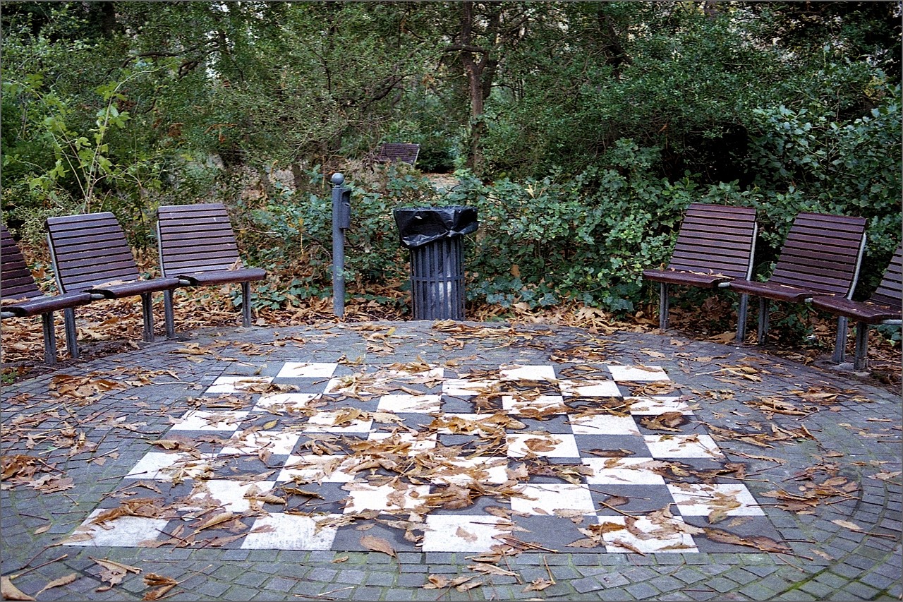 L'autunno muove e vince