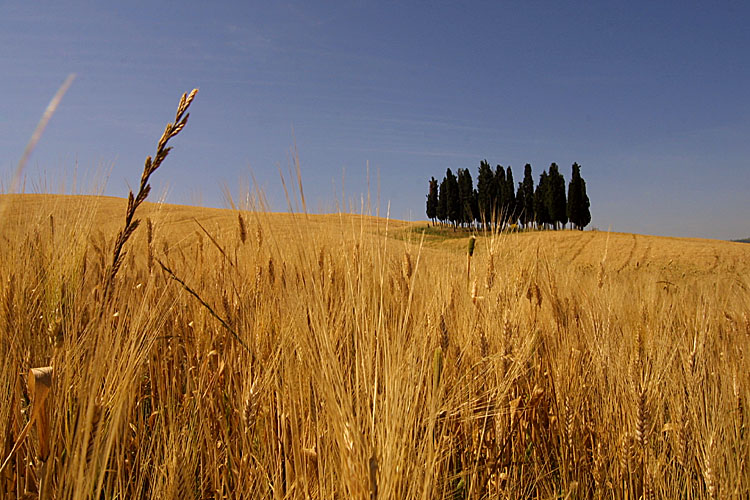 Val d'Orcia