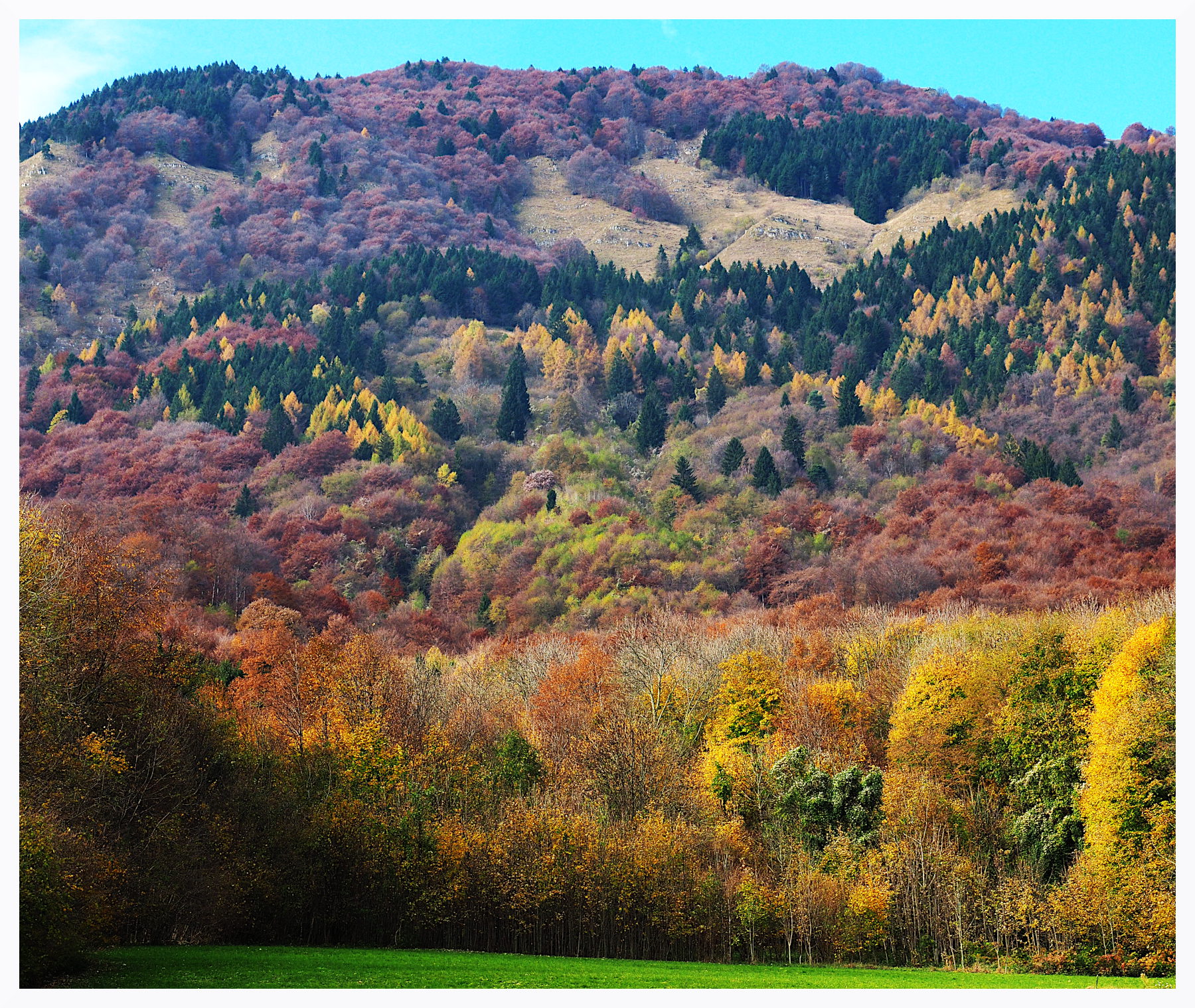 Monte Novegno autunnale