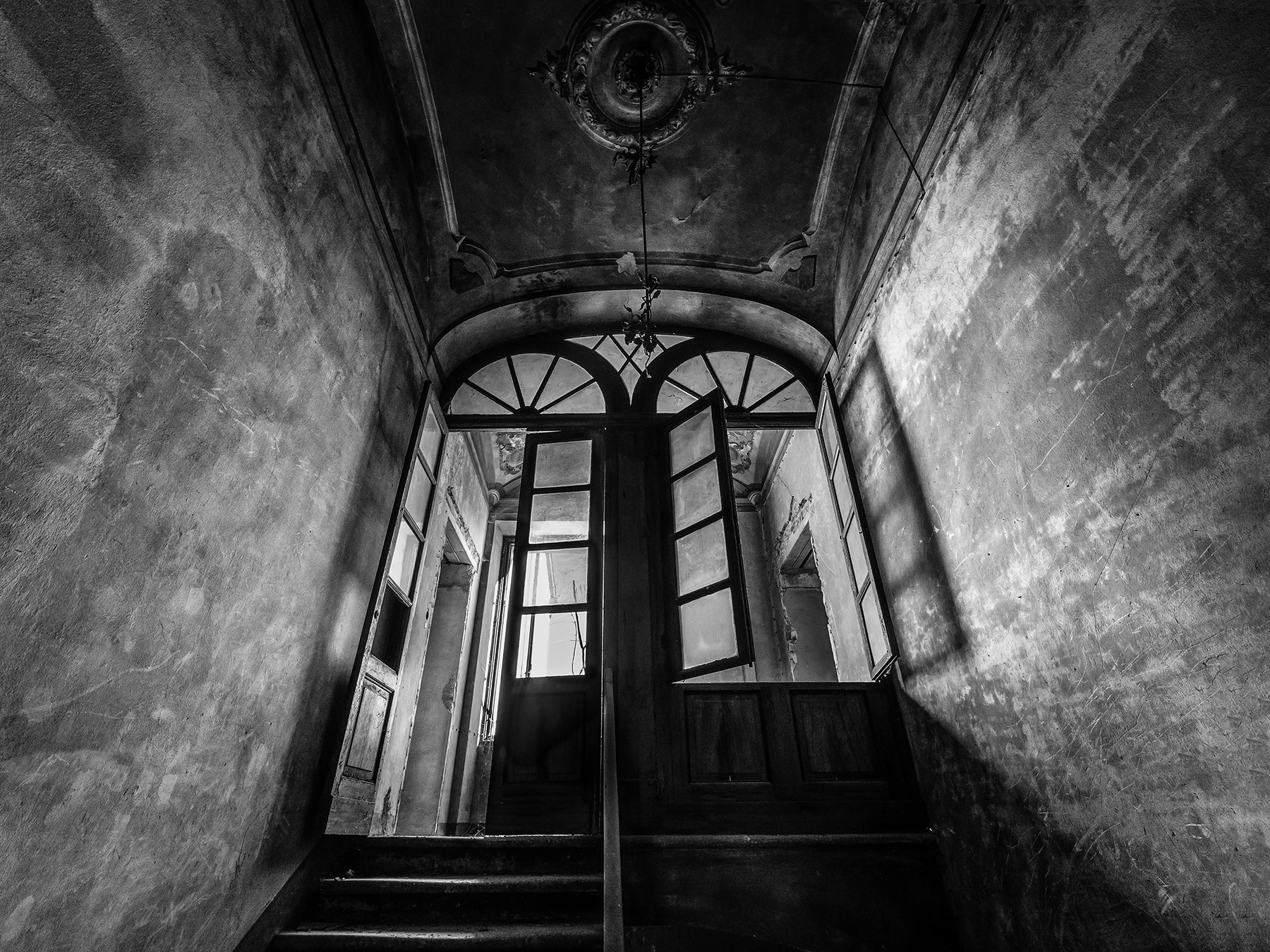 La Regina della Notte