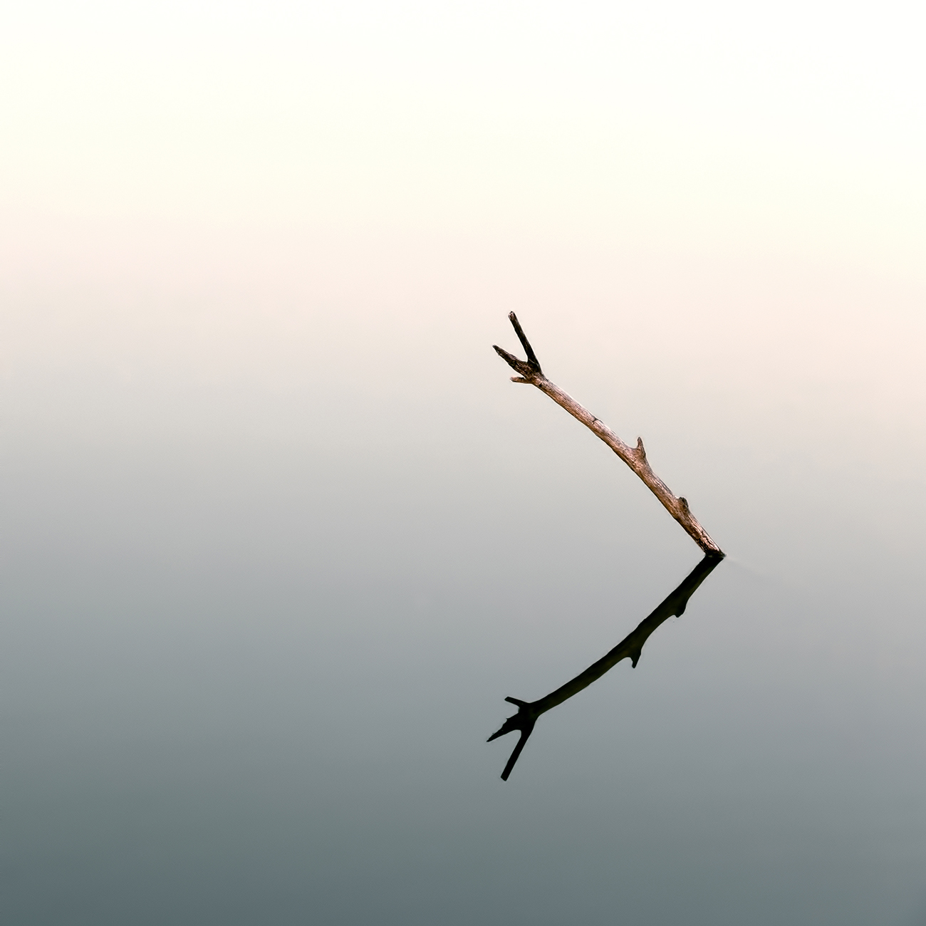 Gian Maria   6 dicembre 1994