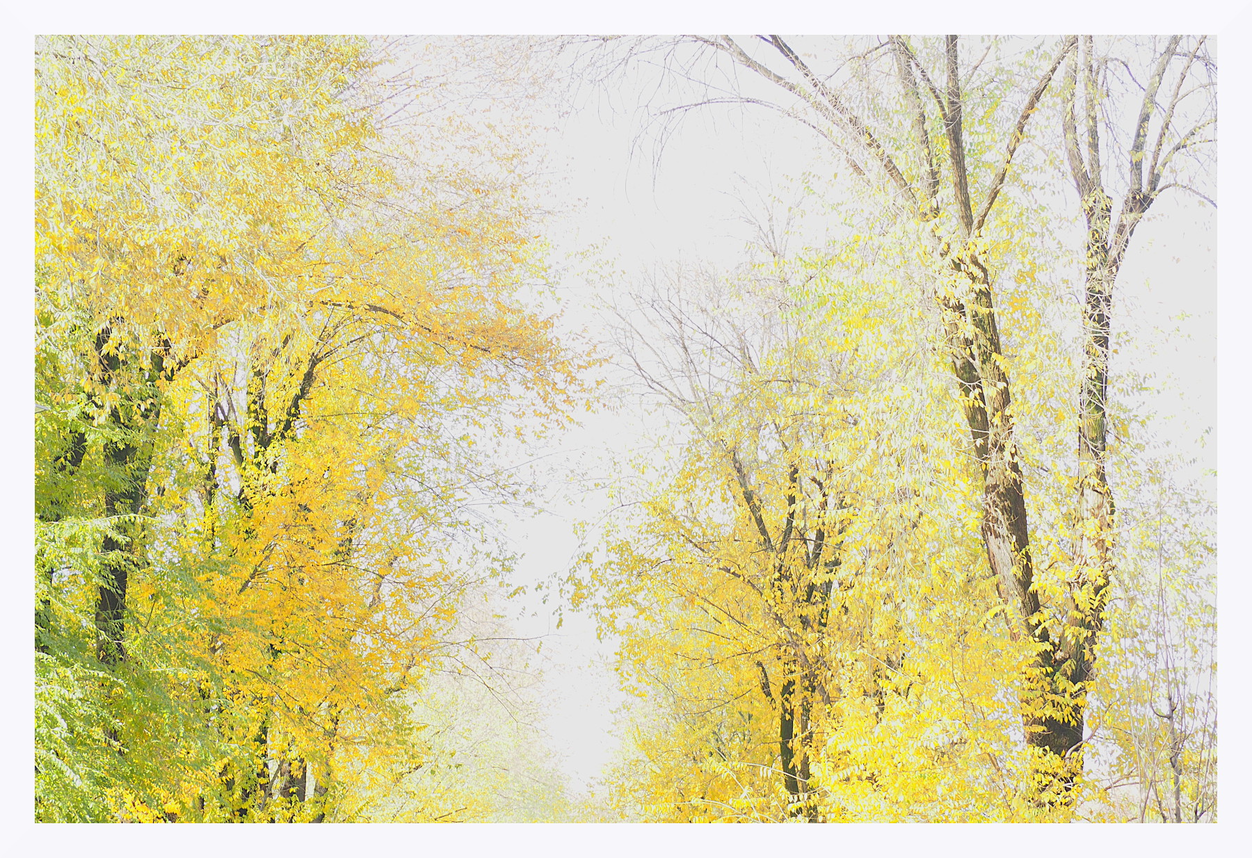 Dipinto d'autunno in citt�