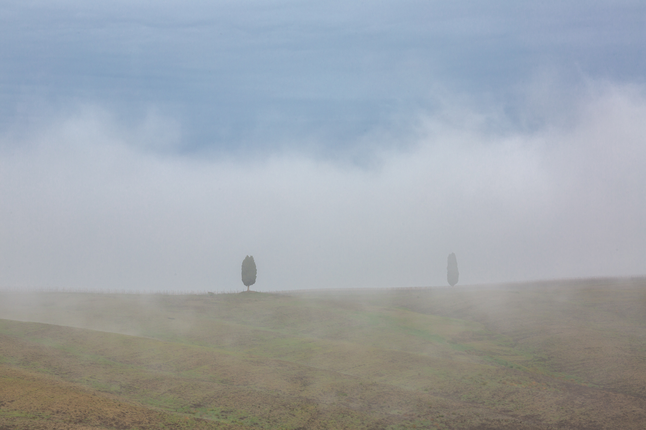 Da soli nella nebbia