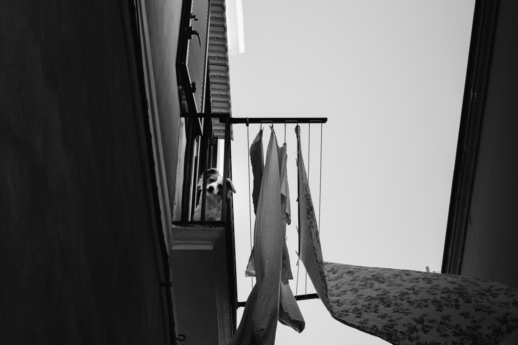 Via Santa Margherita