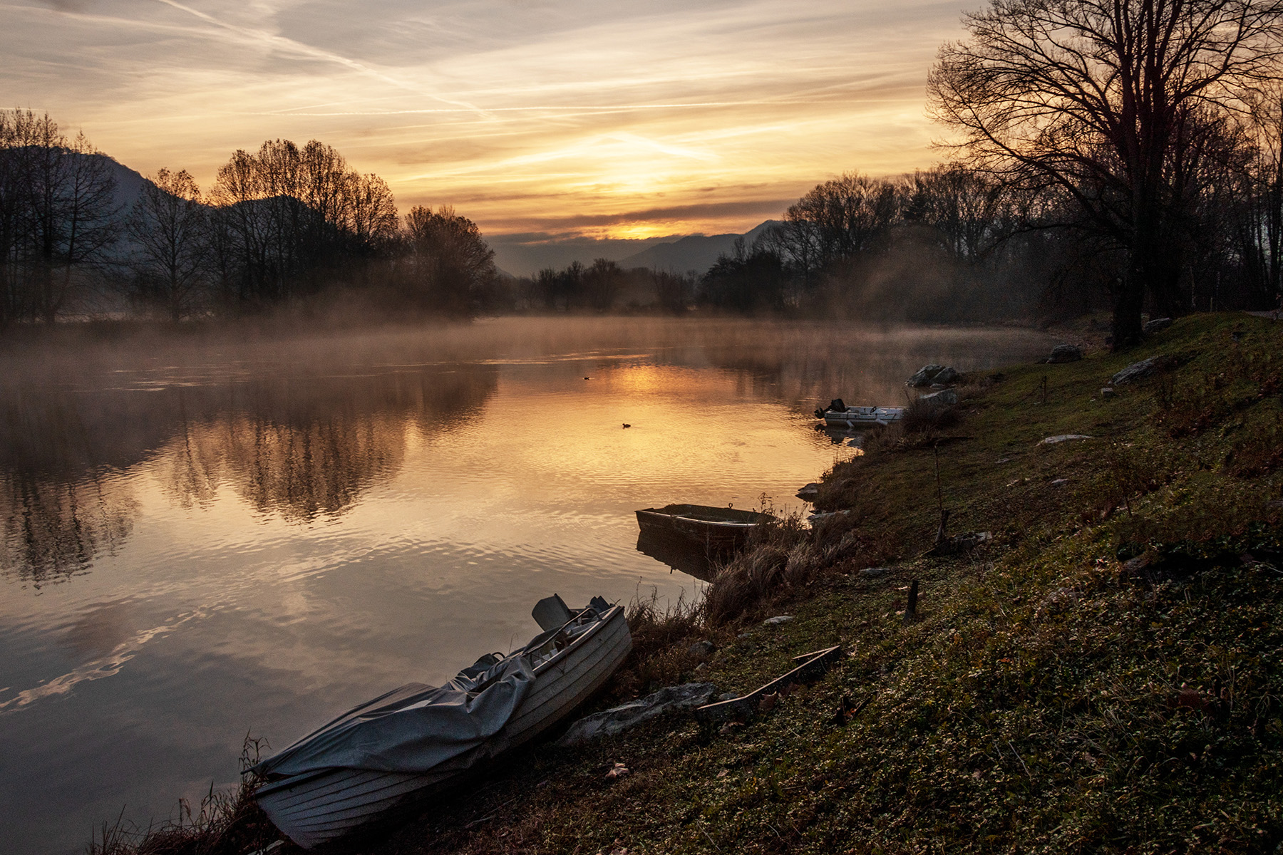 l'alba di un nuovo anno
