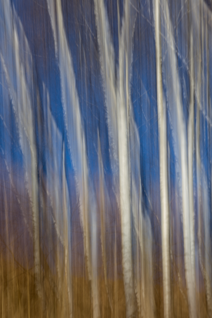 La nitidezza � un concetto borghese_1