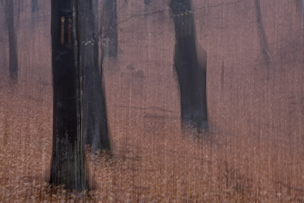 La nitidezza � un concetto borghese_2