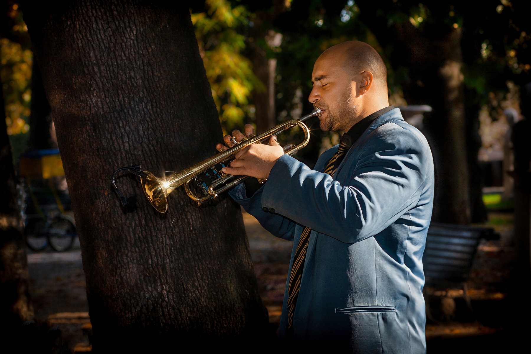 M U S I C    P O W E R