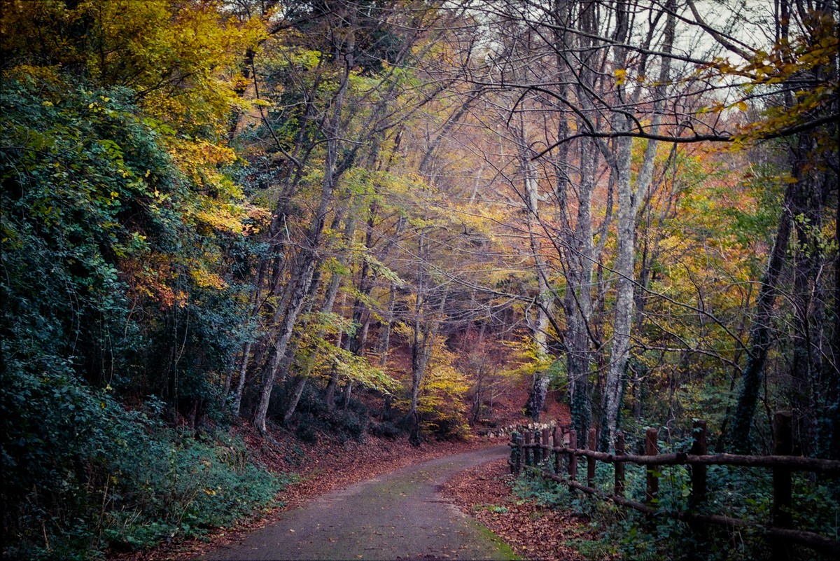 Quando sua Maest� si veste non c'� ne per nessuno....
