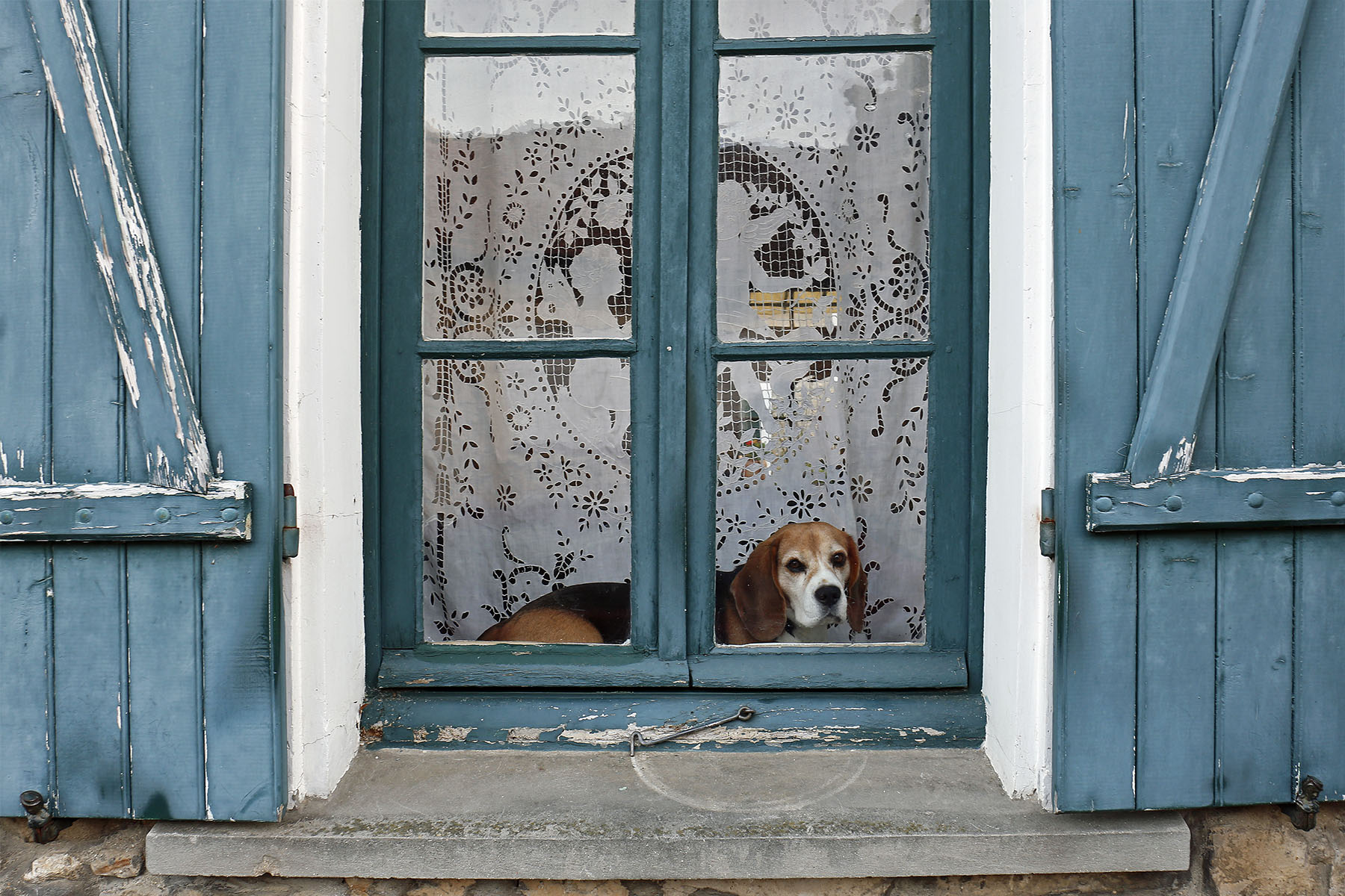 Qualcuno mi fa uscire?