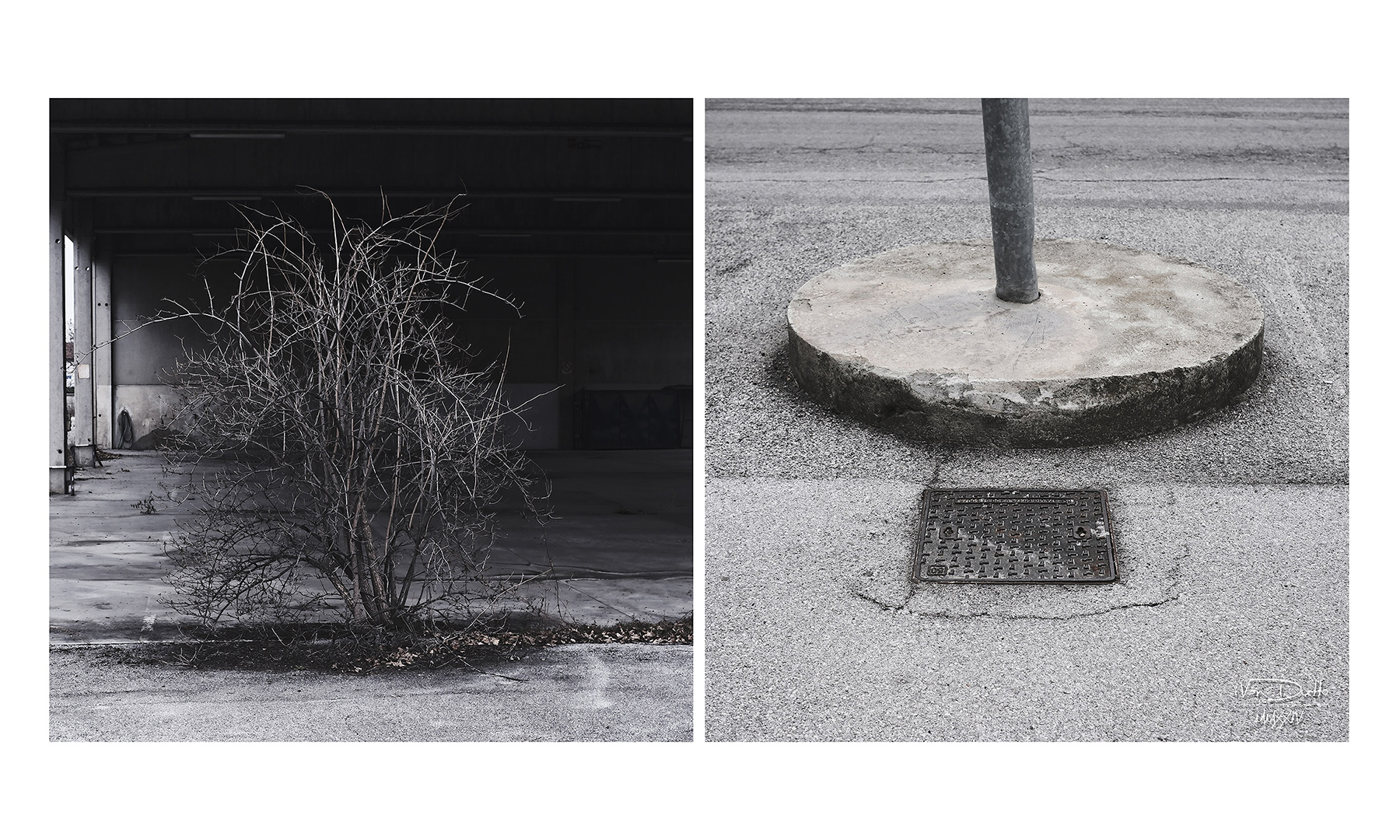 Essere alberi nella zona industriale