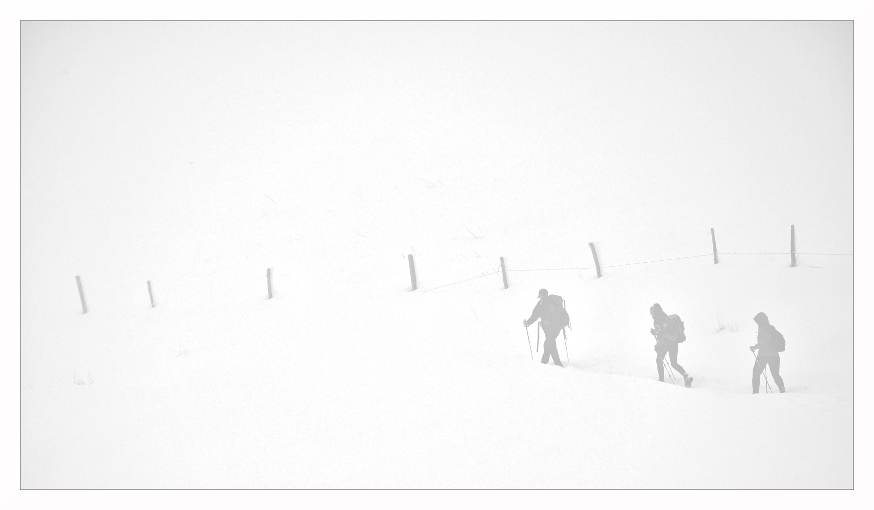 Escursionisti fra neve e nebbia