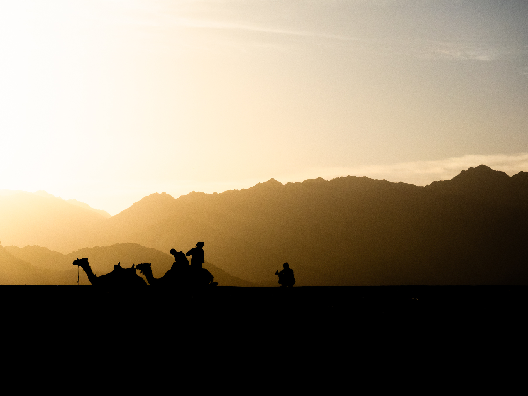 Silhouette nel deserto