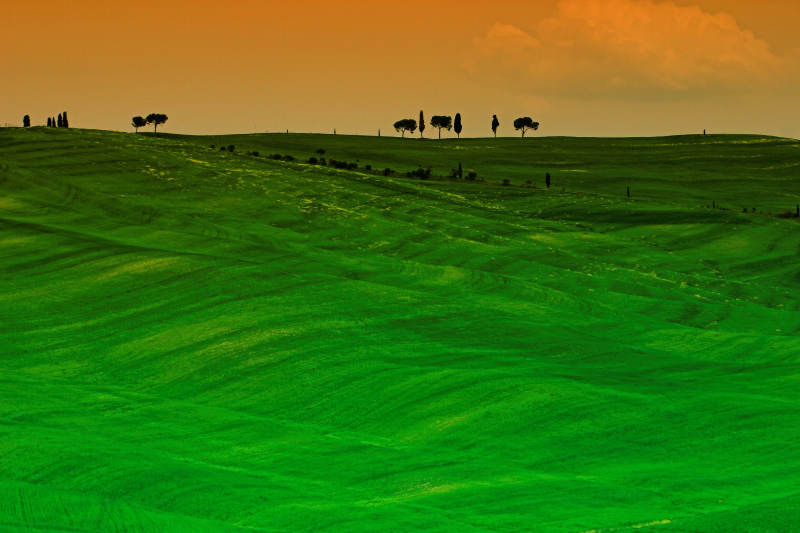 il mio campo preferito!