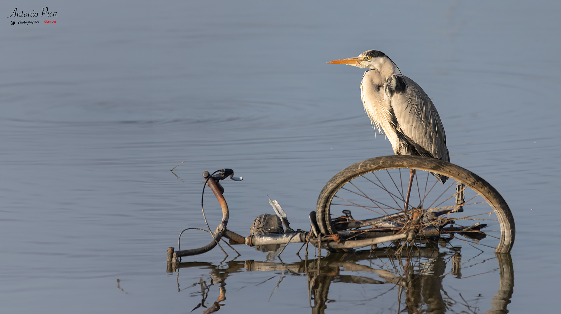 Aspettando le ciclabili