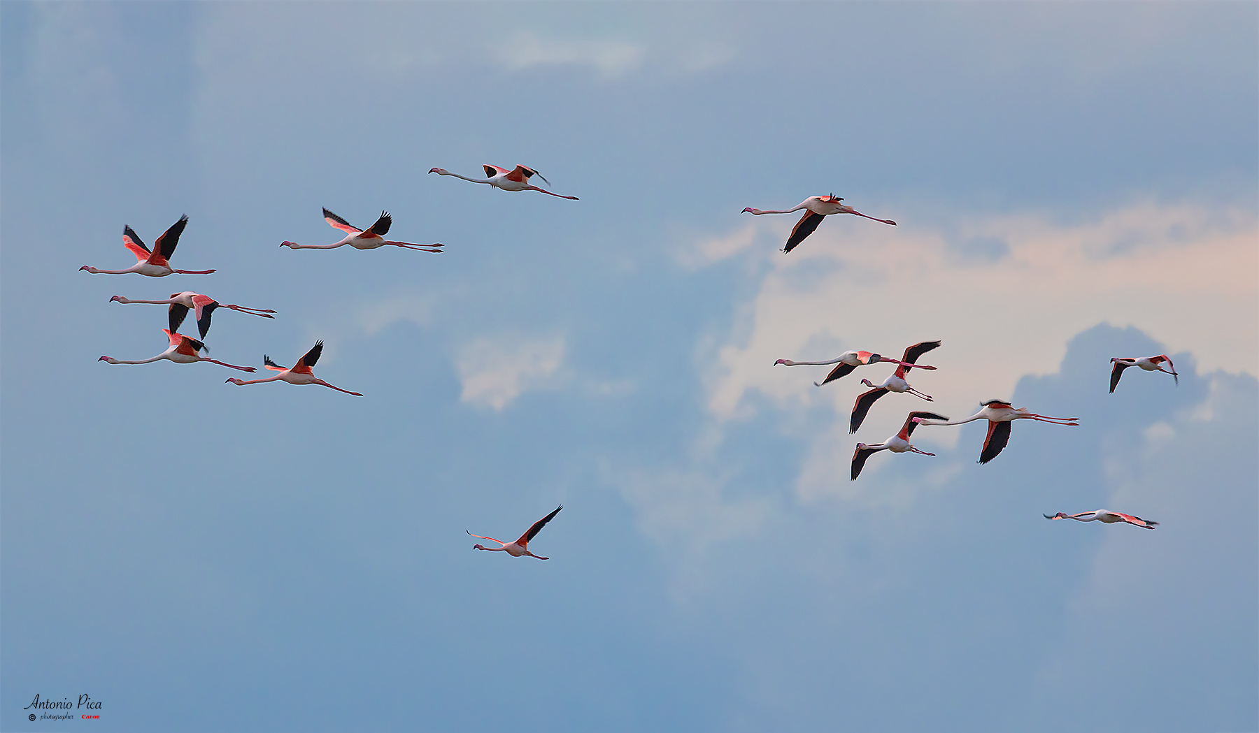 Il volo ,  ma non sono i cantanti