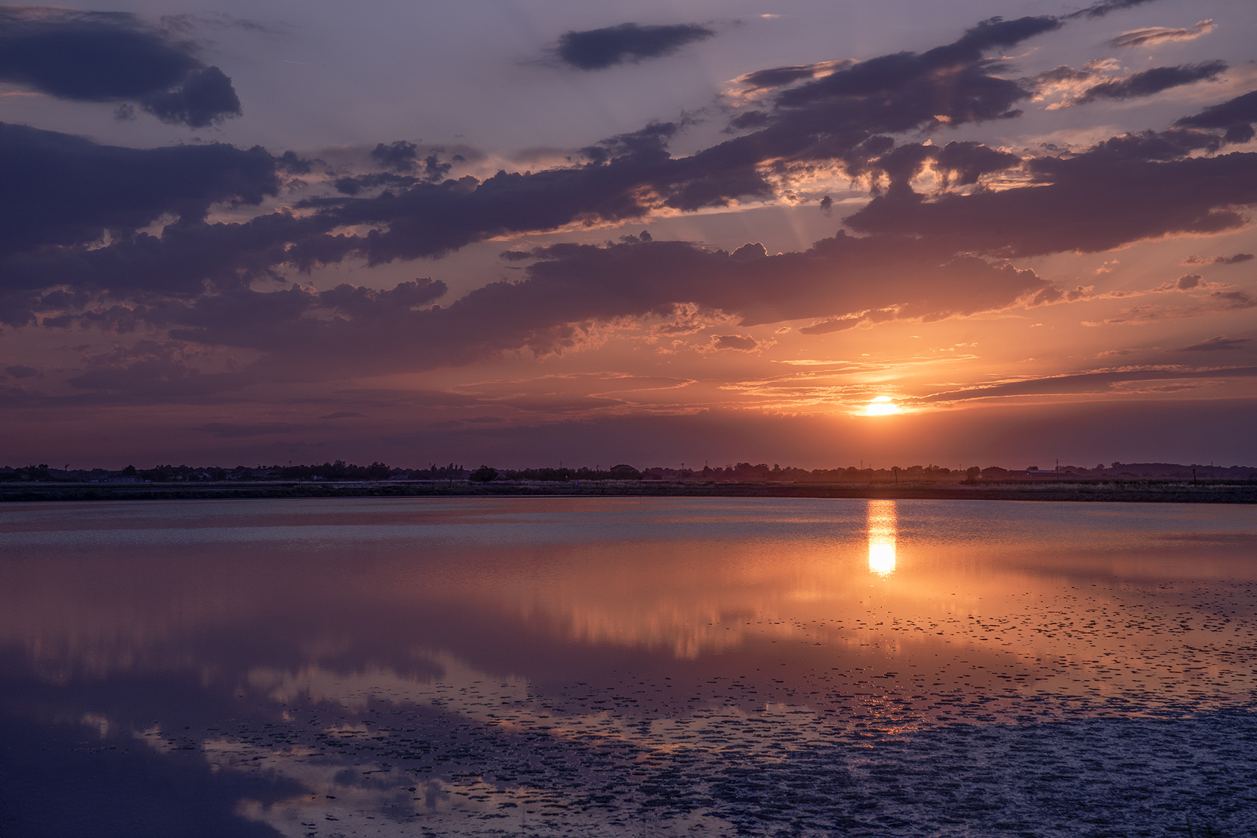 Saline_Cervia_Giu2024_7