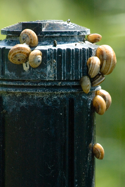 Particolari - La sete