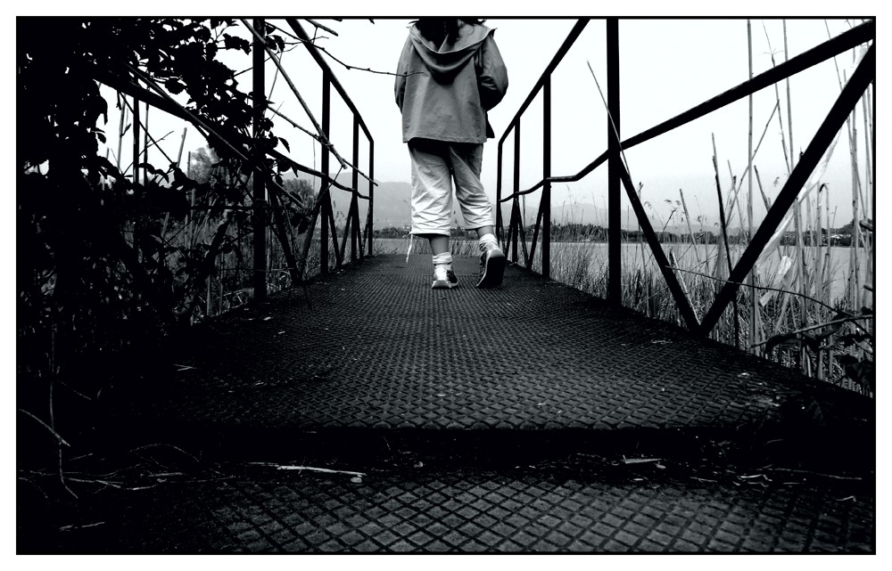 ::: NON OLTREPASSARE QUEL PONTILE :::