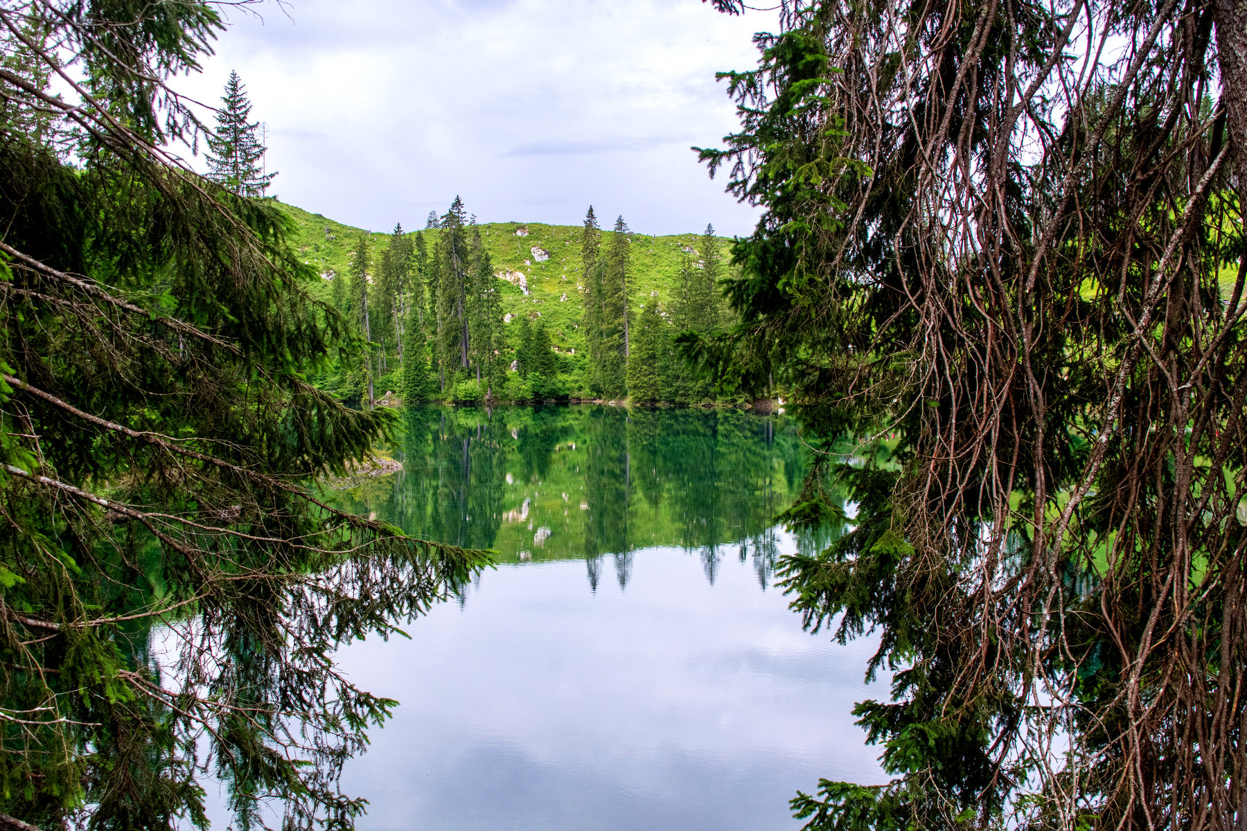 Lo specchio della natura