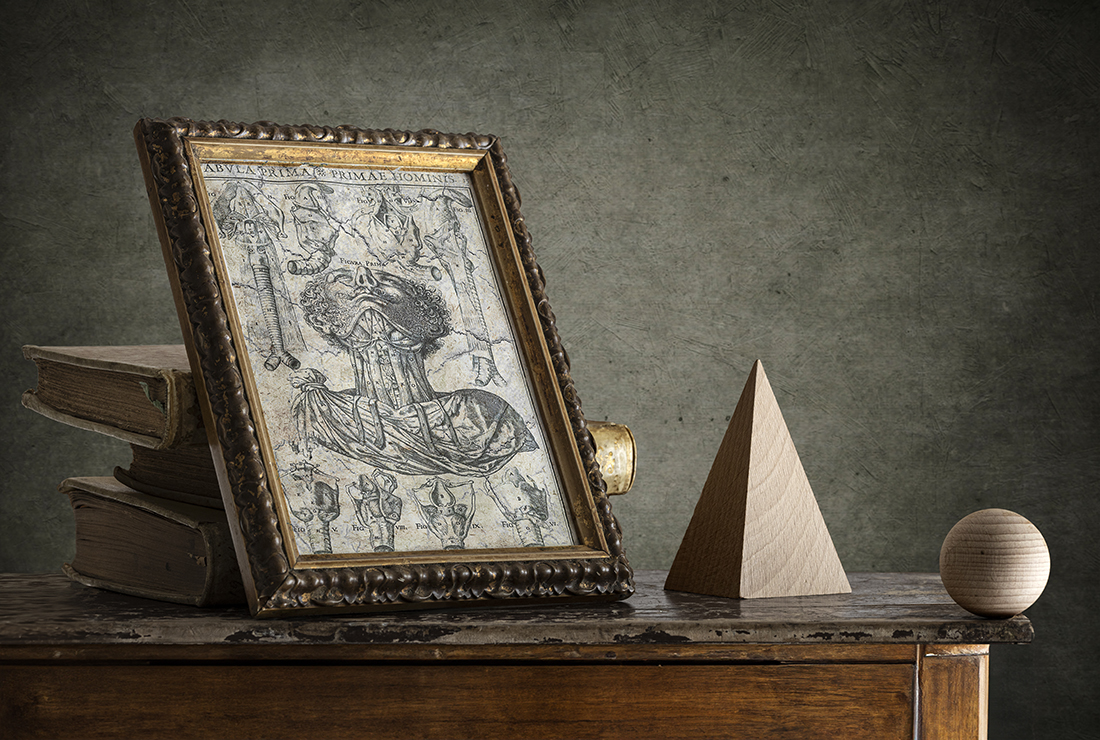 Anatomia e geometria