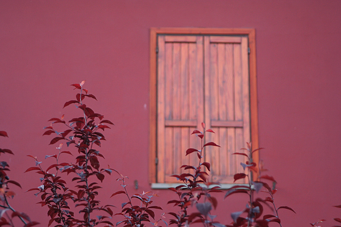 affacciati alla finestra...