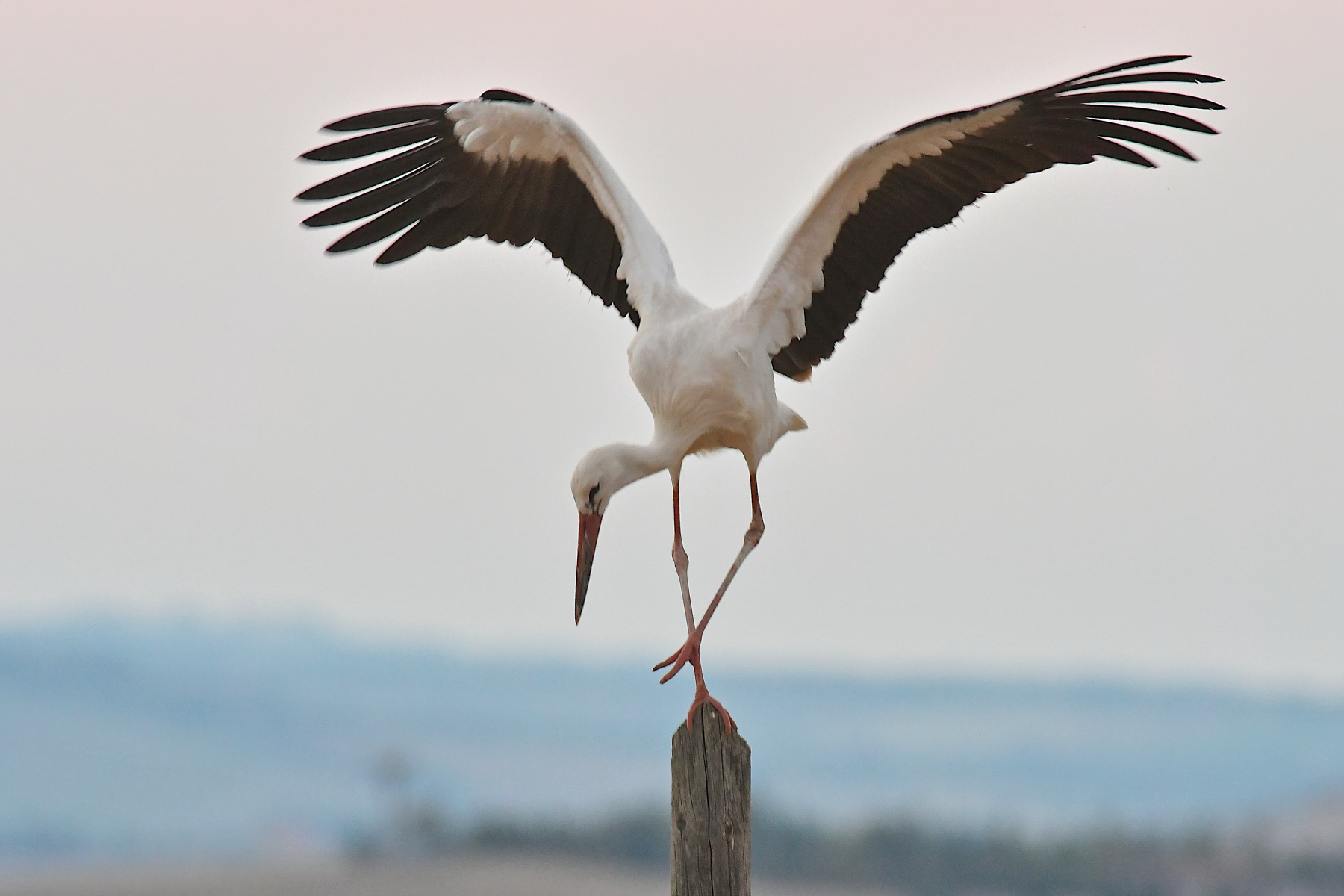 Quando la luce non c'�...