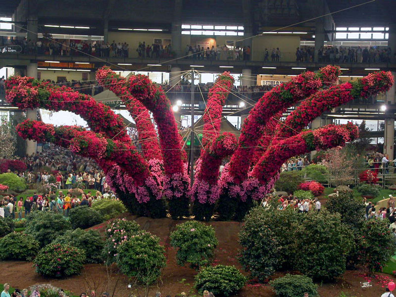 la piovra dell'euroflora