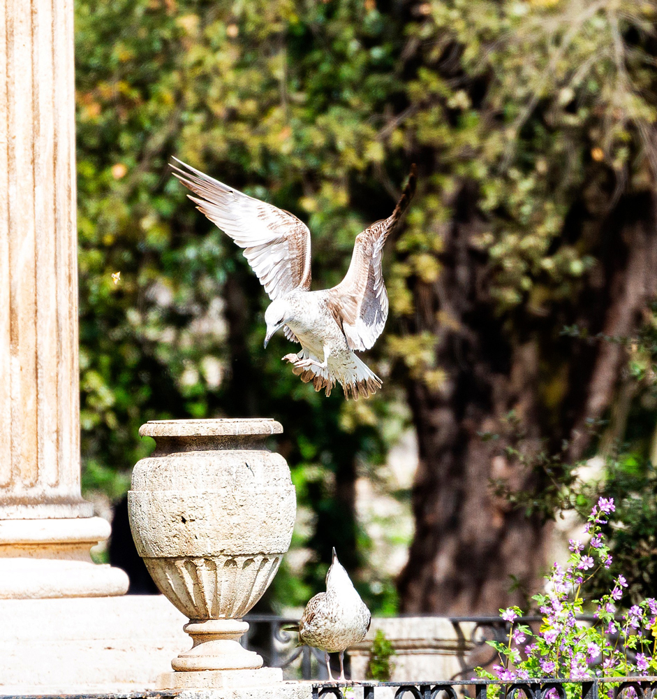 Ehi amico...non fare scherzi :-)