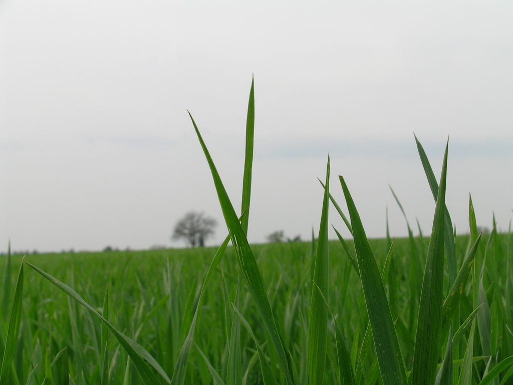 prima foto di stefano