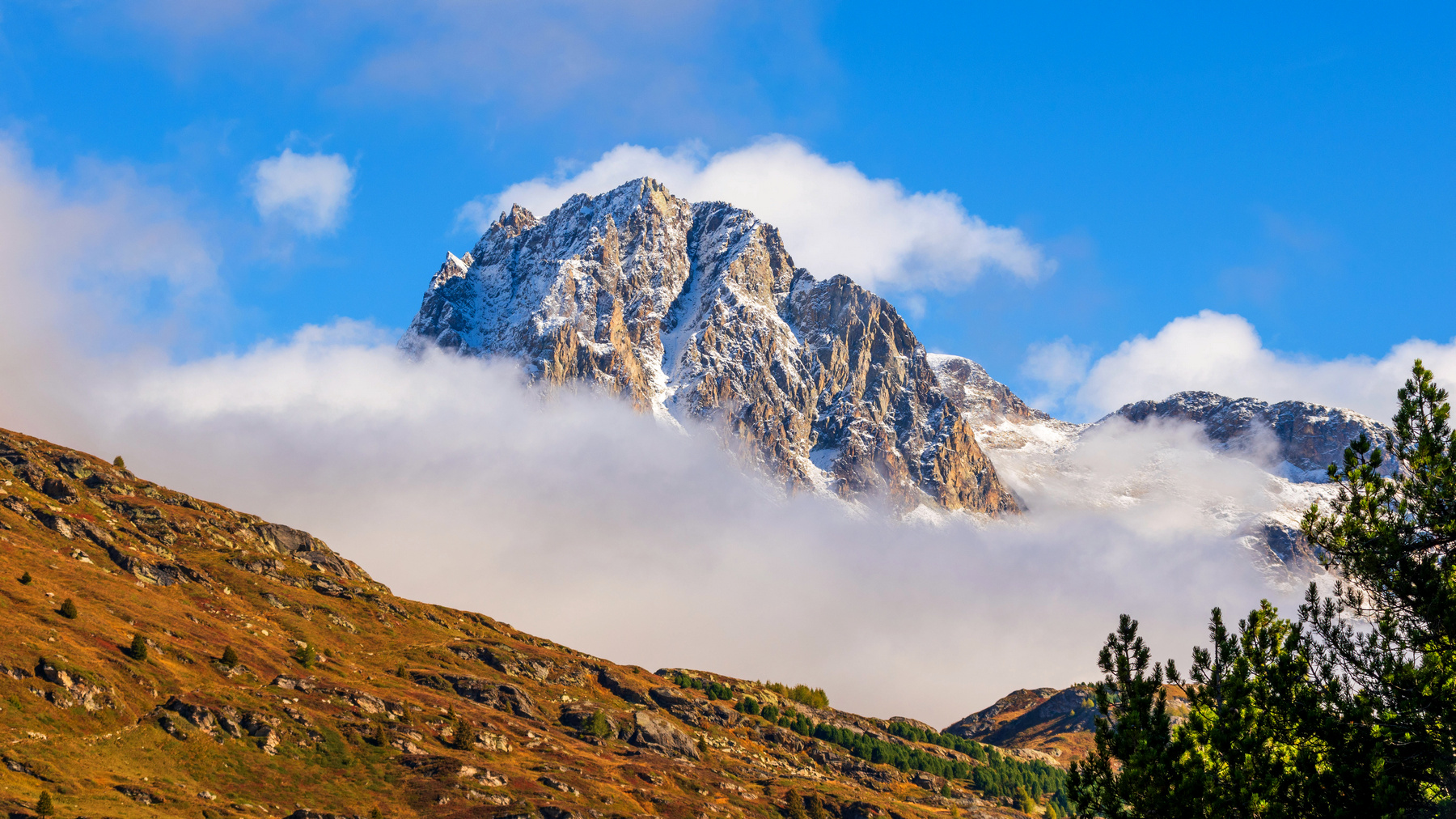 Spuntando dalla nebbia