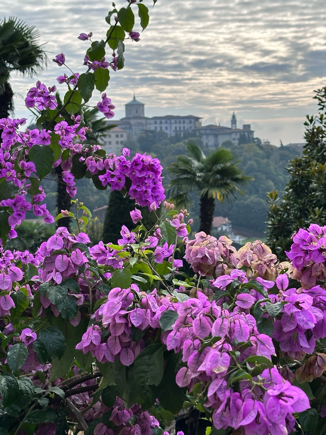 Citt� Alta ( Bergamo)