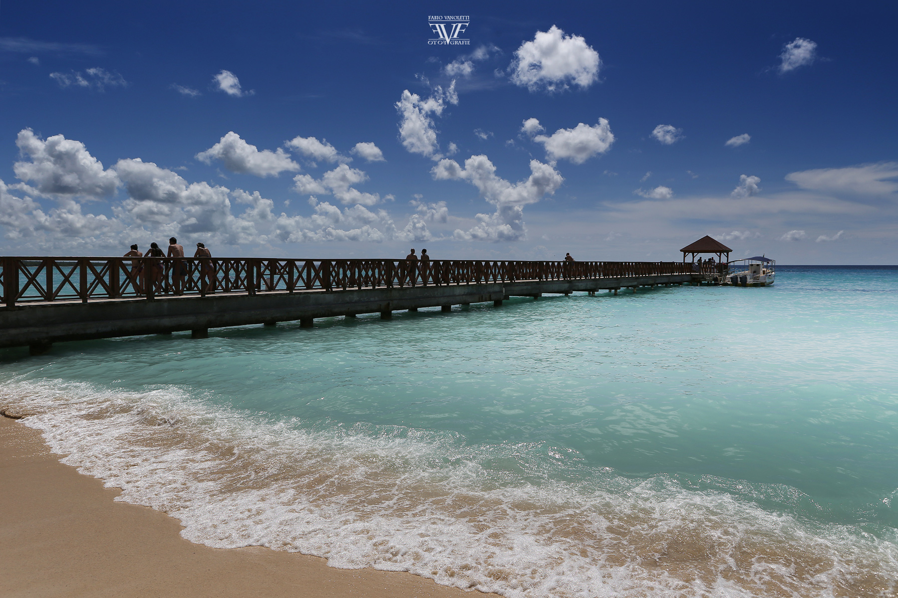 ::: P A R A D I S E :::