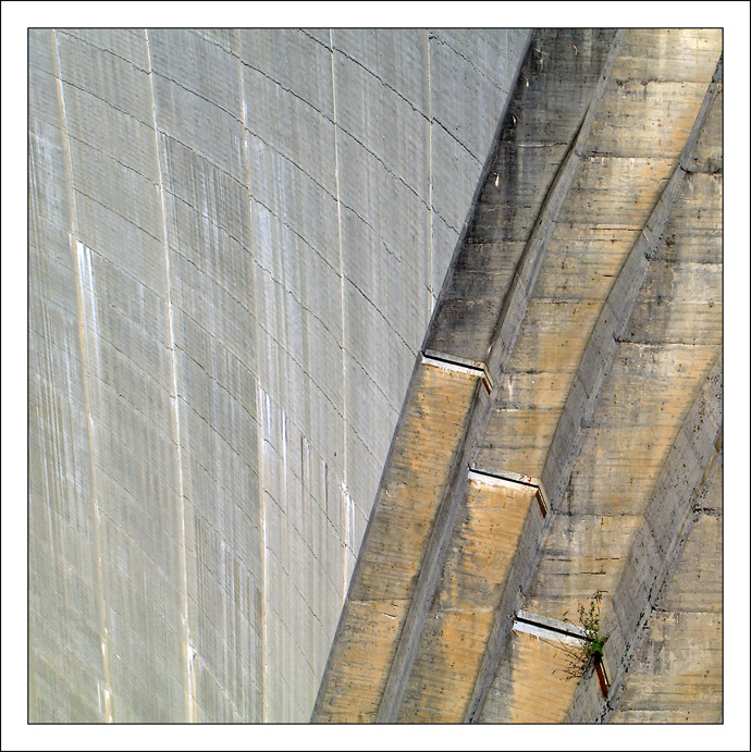 quando si dice che l'erba cresce dappertutto...