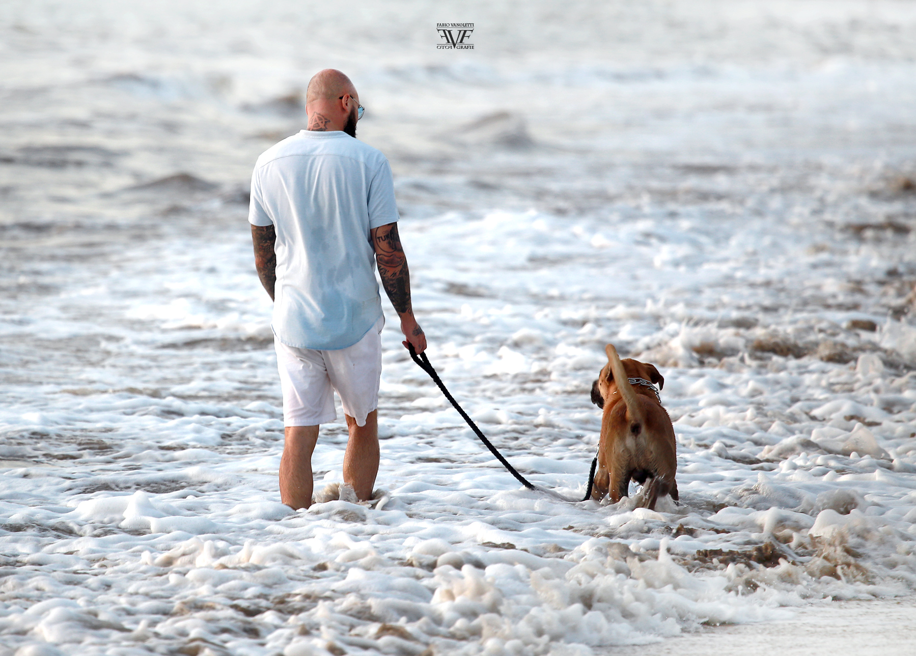 ::: N O S Y  B E :::