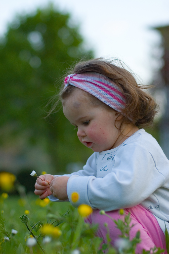 una margheritinaaaa!!