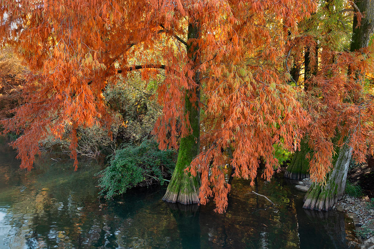 I colori dell'autunno