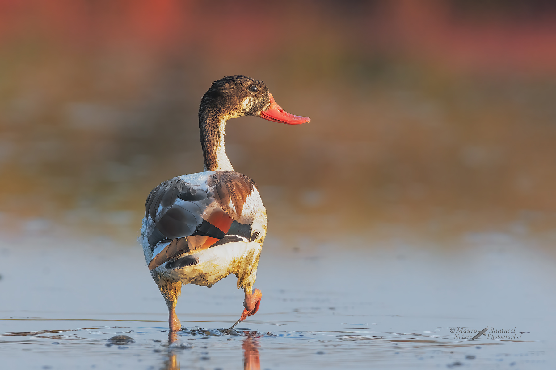 Questo-mi-ha-stufato-e-me-ne-vado_DSC8067