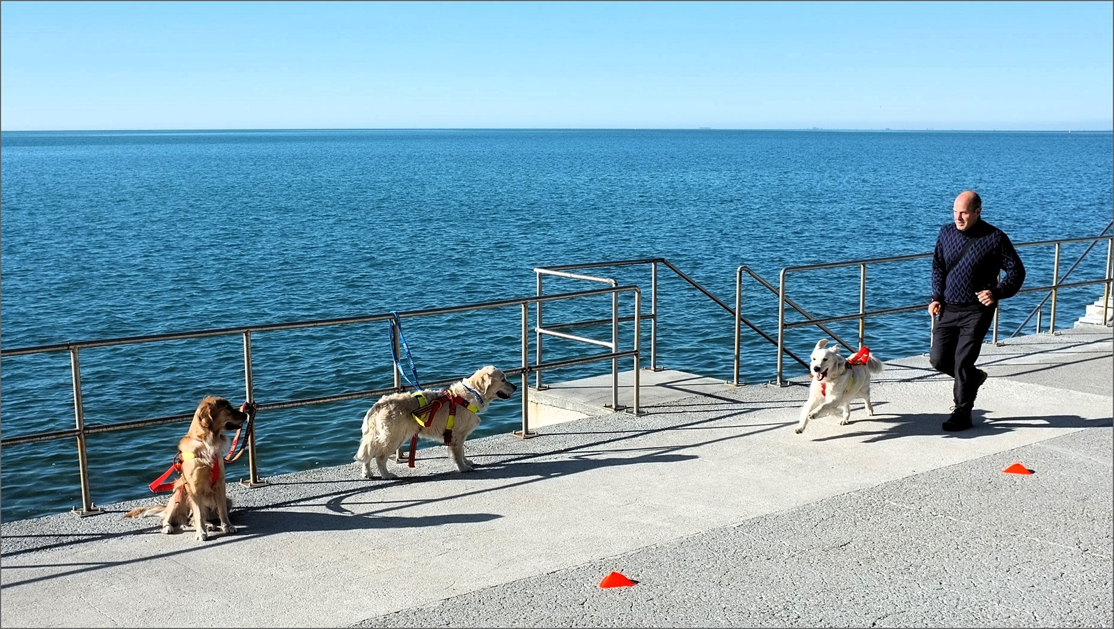 Una giornata di sole