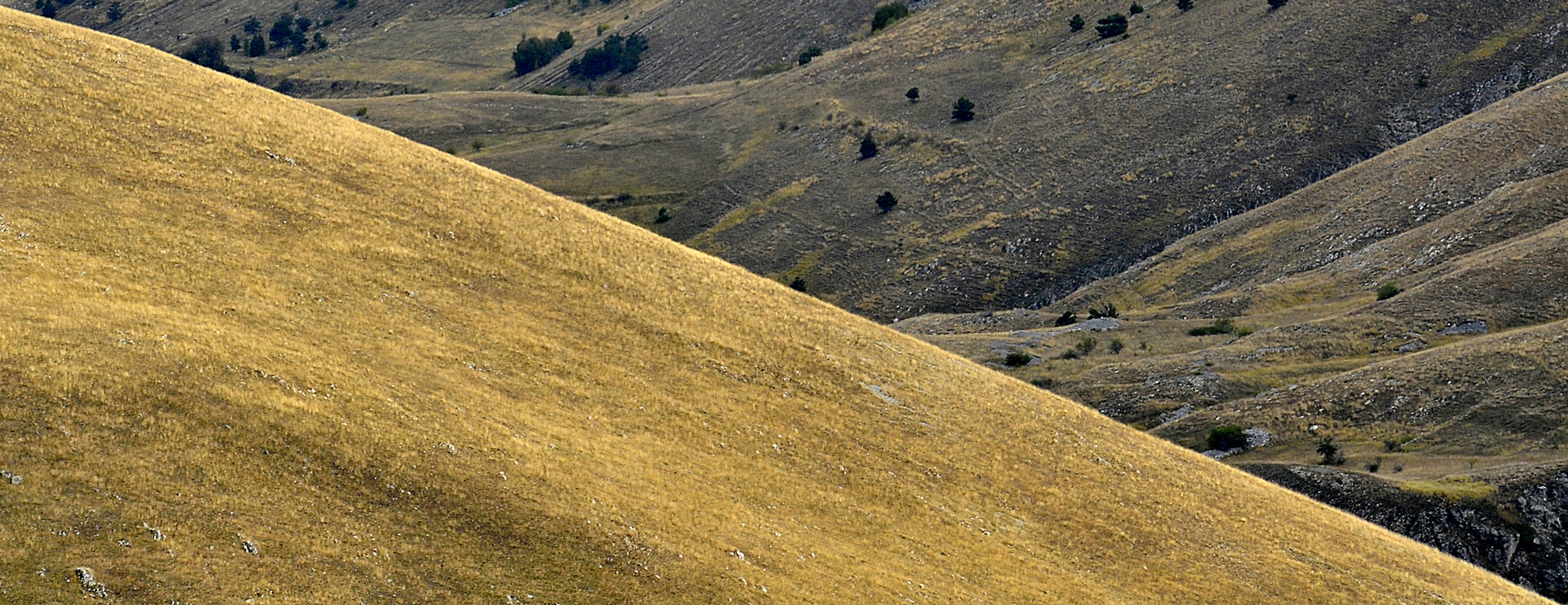 ....ritaglio creativo....