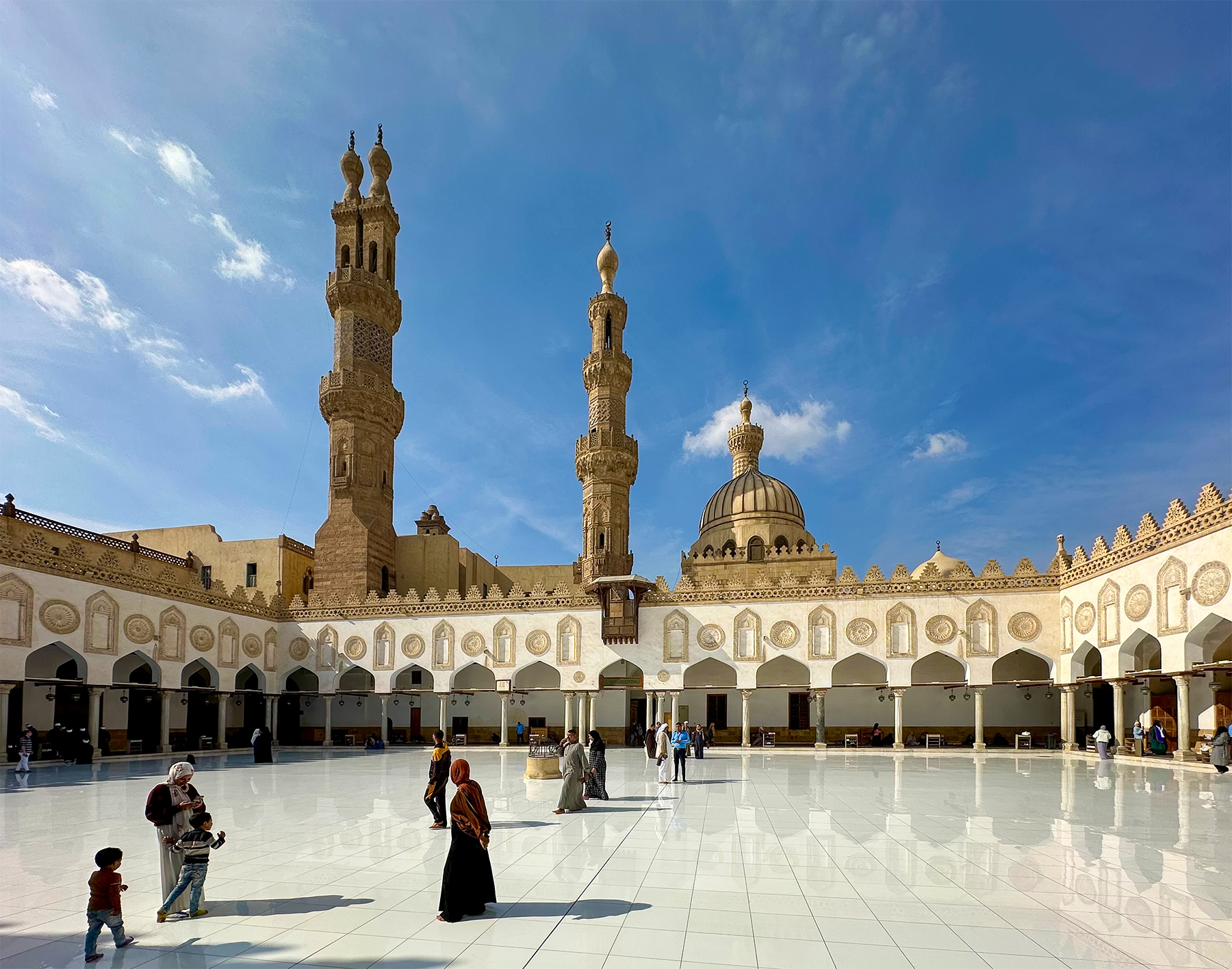 IL CAIRO - Mosche bianca