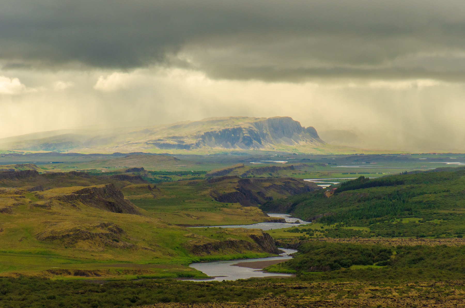 Dopo la pioggia il sole