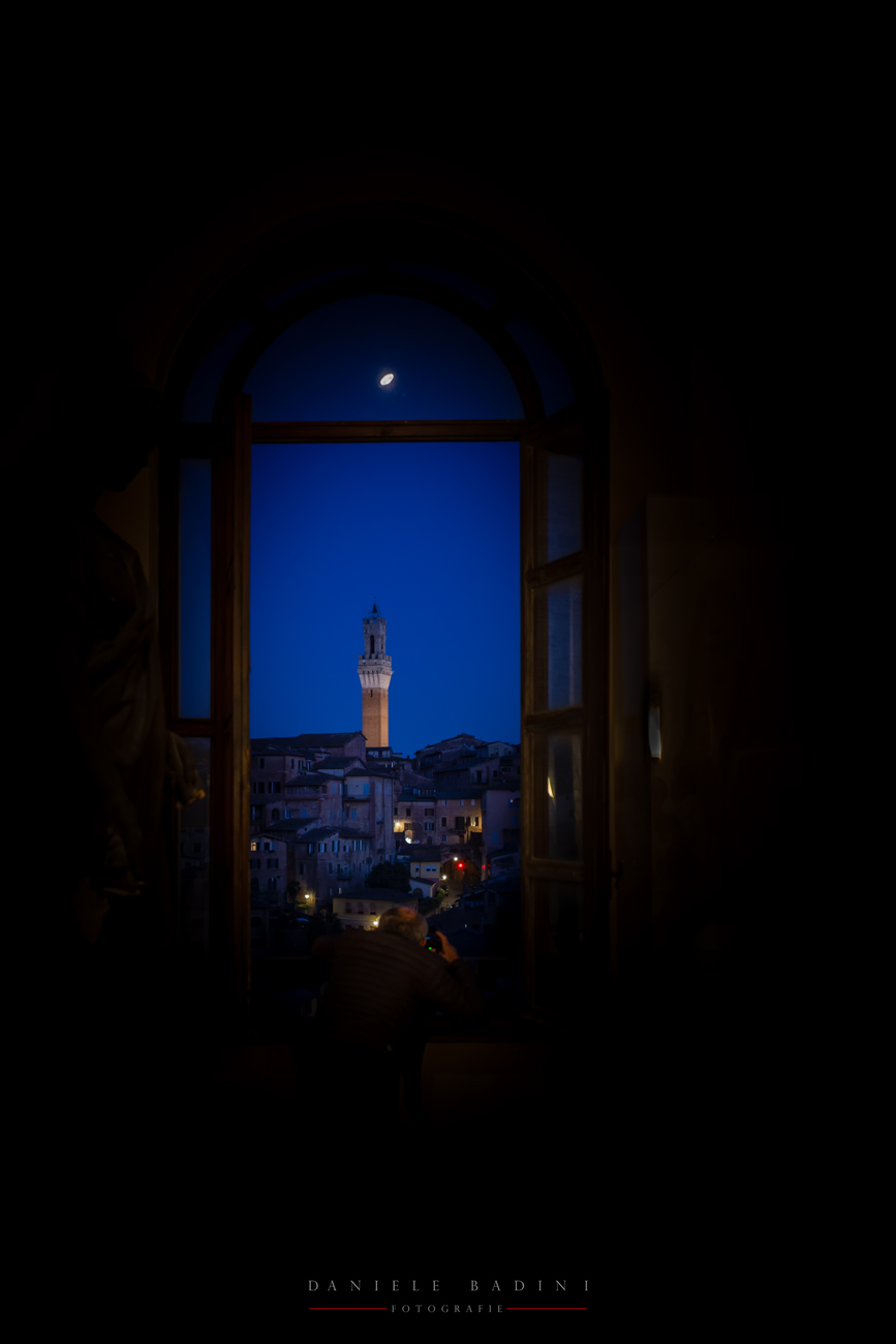alla finestra Siena