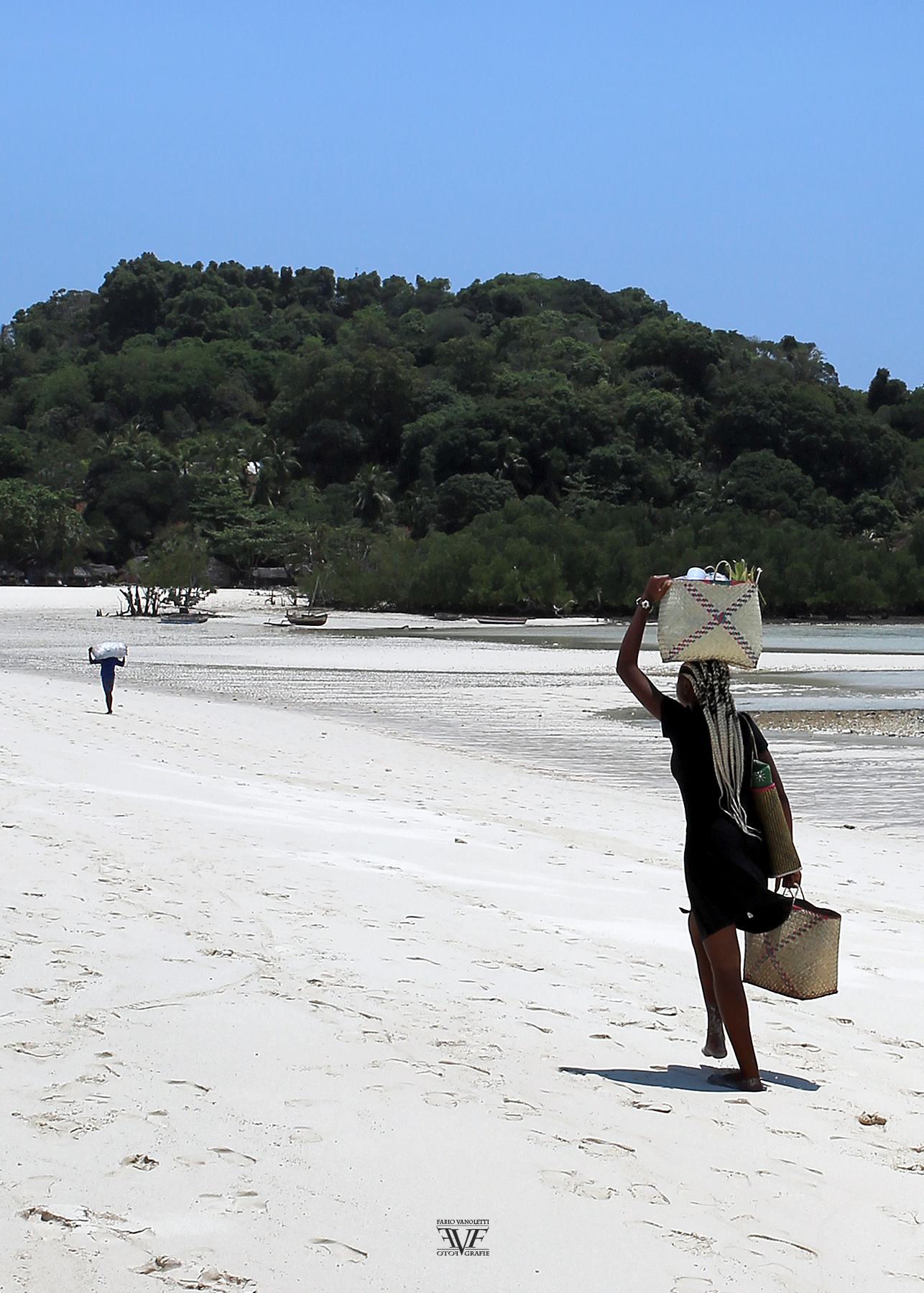 ::: T R A N S P O R T E R S :::