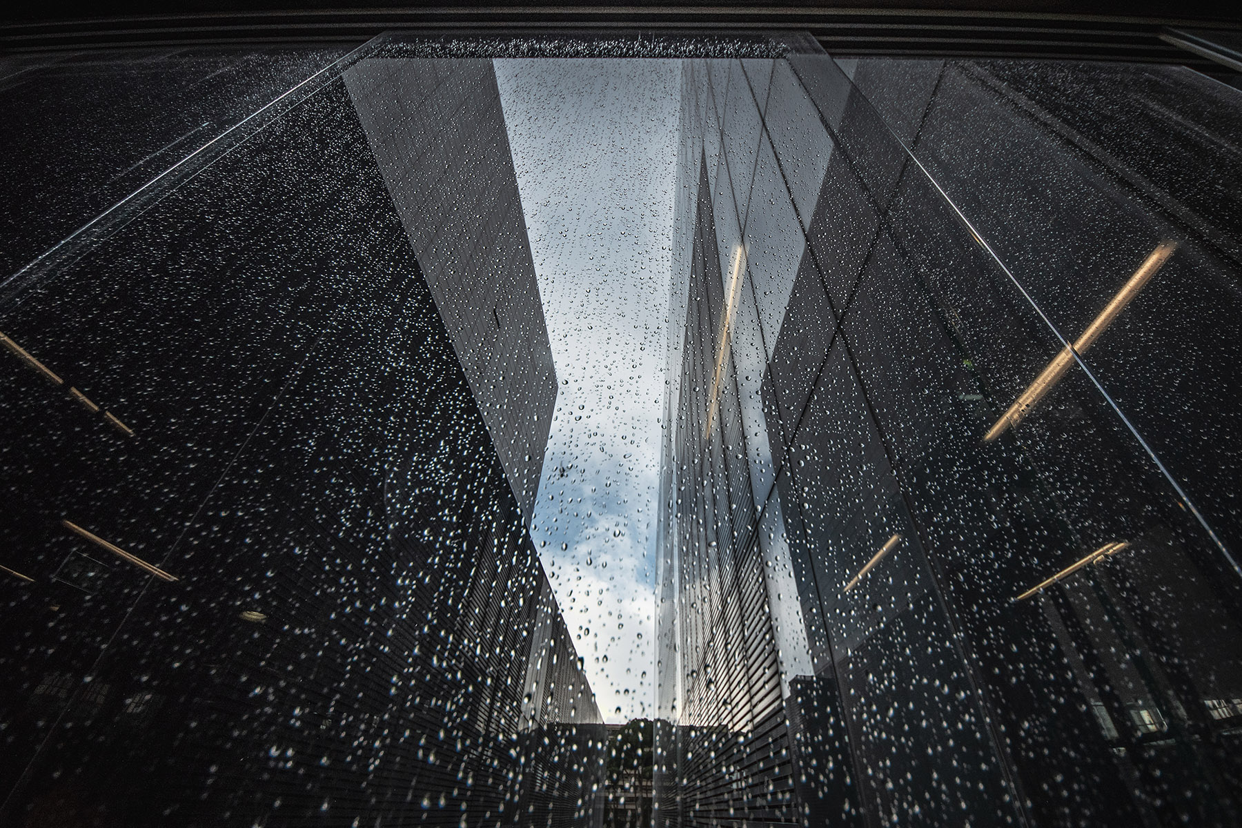 Nuvola_RomaDic2024_1b