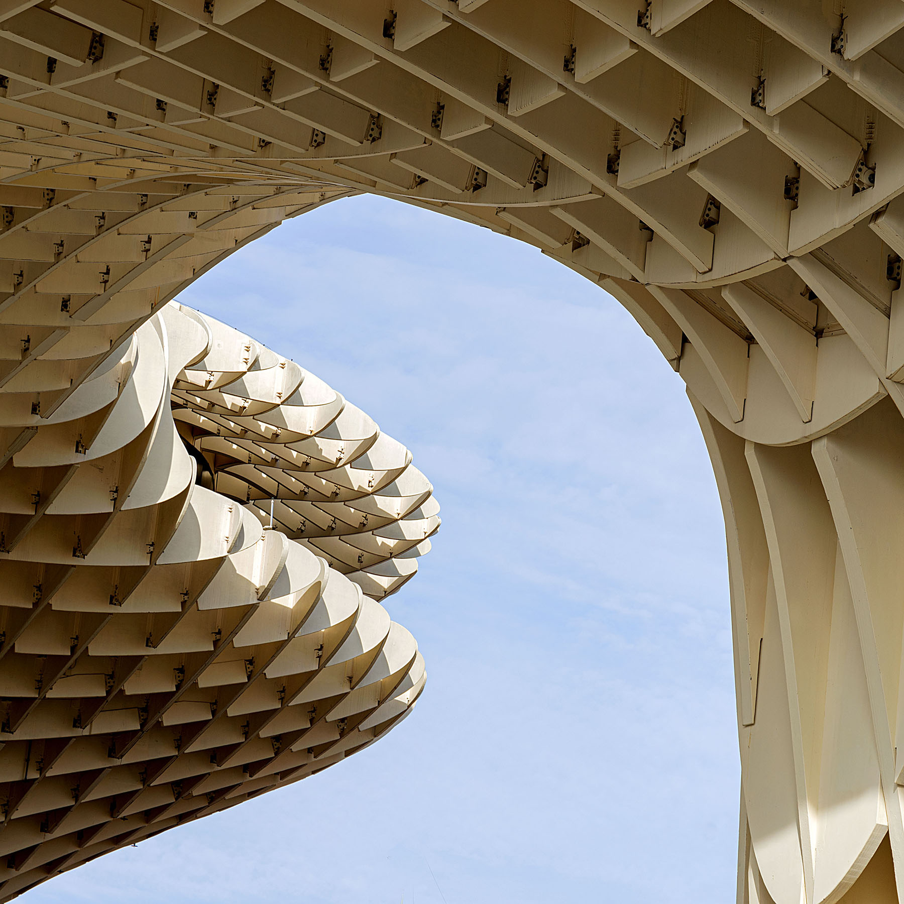 Siviglia, il Parasol