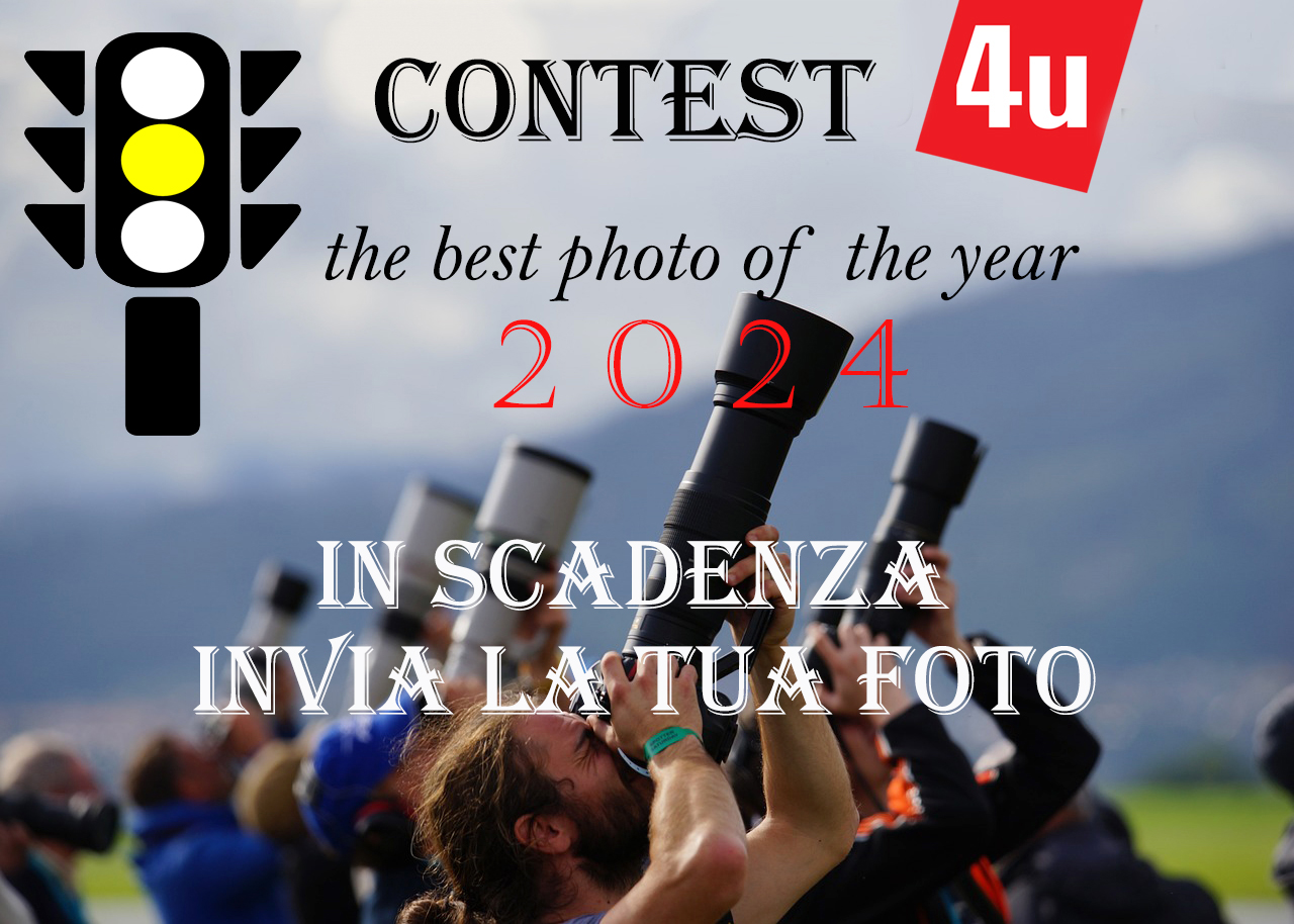 Contest 1019 In scadenza