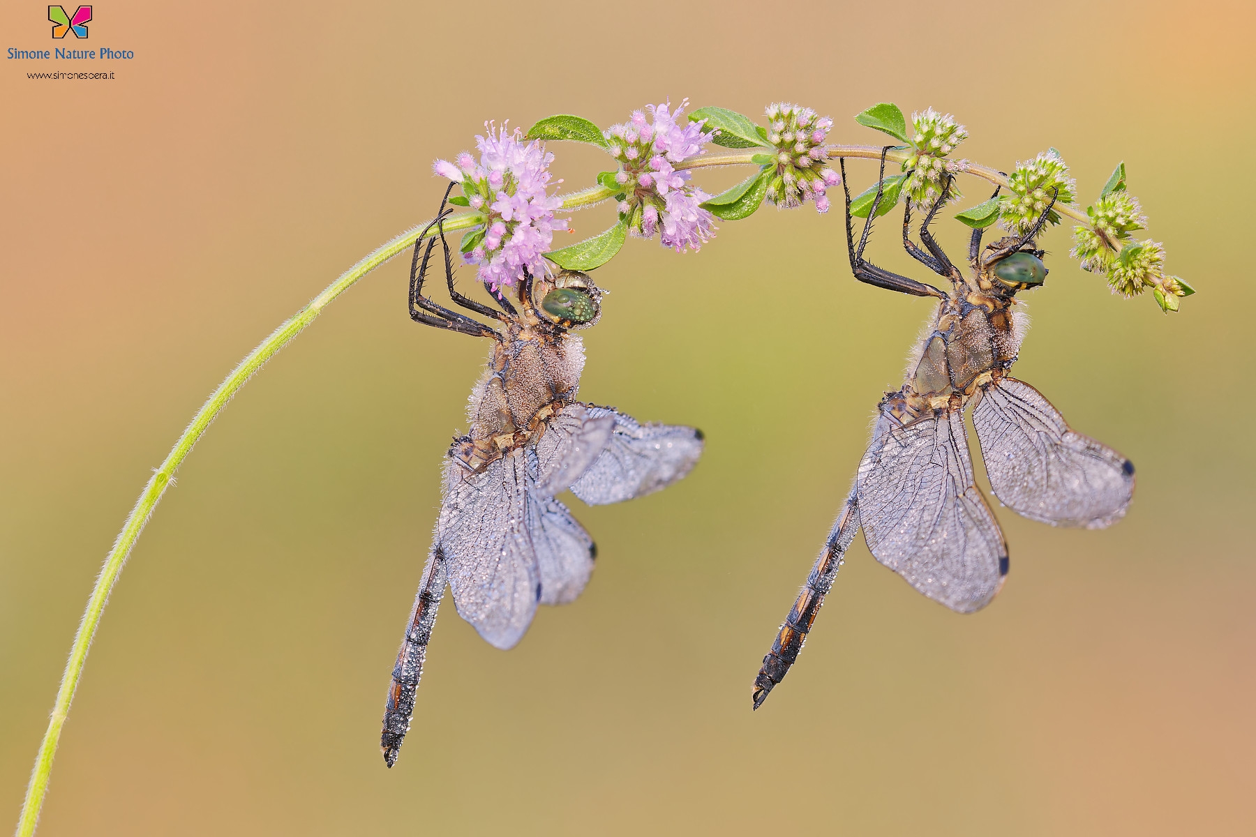 1019� Contest La nostra foto migliore del 2024